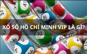 Hồ Chí Minh Vip